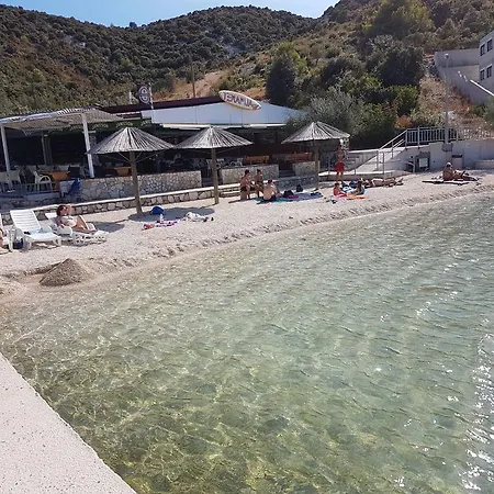 Oleander * 玛里纳