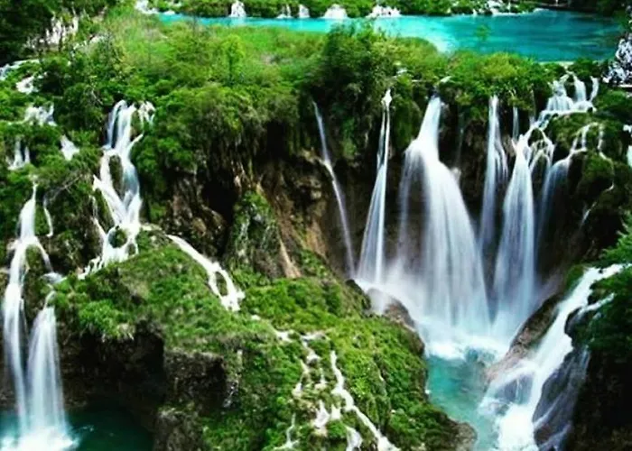 Oleander 아파트 *